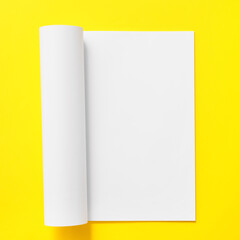 Blank magazine on color background