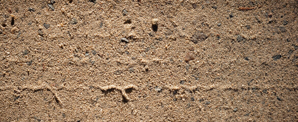 Sand texture photography. Dirt road