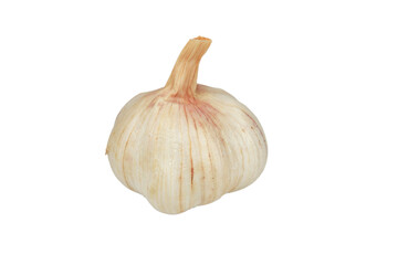 Head of garlic isolated on white background
