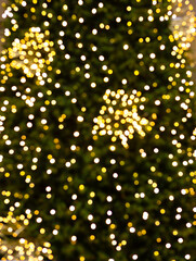 Fototapeta na wymiar Background with Christmas tree and blurred lights, Bokeh