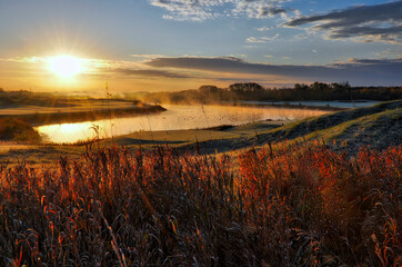 Sunrise in the golf club with migration bird