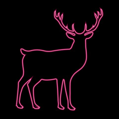 Deer neon silhouette isolated on black background. Wild animals, cute mammals.
