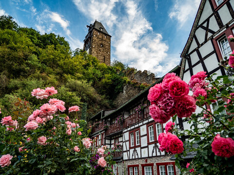 bacharach