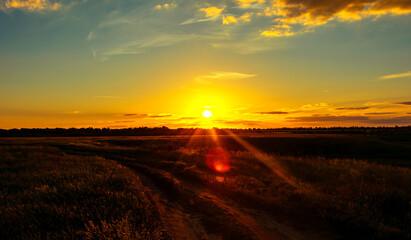 sunset in the field