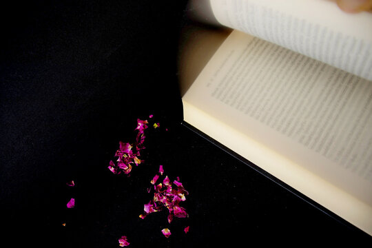 
rose petals scattered around and a book image