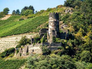 Burg Fürstenberg