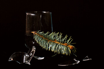 Concept created with shattered glass cup and plants that fell through.