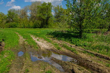 Dirt road with puddles in the meadow, rural landscape.