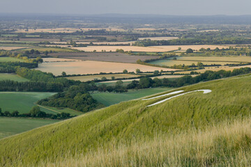 English countryside from White Horse Hill Uffington with chalk drawing of ancient White Horse