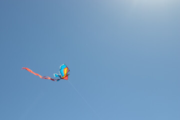 Kite soars in the blue sky. Copy space background. Freedom concept