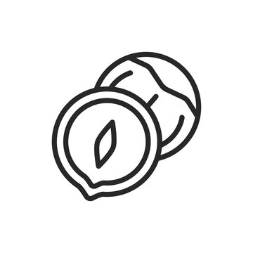 Nazel nut black line icon. Isolated vector element. Outline pictogram for web page, mobile app, promo.