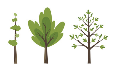 Decorative trees icon set. Flat trees in a flat design. Isolated on white. icons.