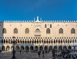 Fototapeta premium die Piazzetta in Venedig mit dem Dogenpalast in der Abendsonne, mit Möwe