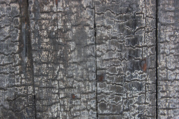 rough burnt wood texture for your design. Black and burnt wooden heads close up forest with black tree trunks. Human error can cause a dangerous fire, environmental disaster, environmental disaster.