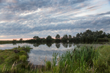 Fototapeta premium Autumn evening on the lake, the shores of which are overgrown with grass and reeds. In the sky, clouds are colored by the light of the setting sun.