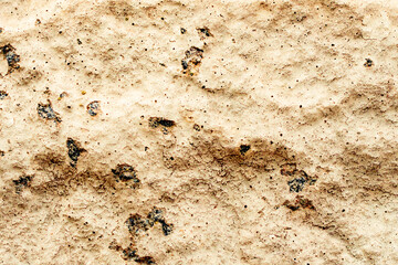 Texture of a concrete wall with cracks and scratches which can be used as a background