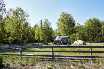 Old wooden corral against a blue sky on a sunny day. Grass paddock on farmland with wooden fence