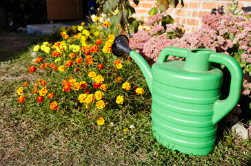 Green plastic watering can in backyard