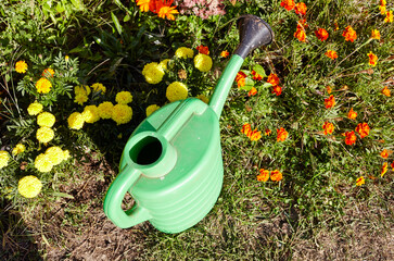 Green plastic watering can in backyard