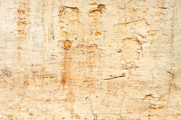 Texture of a concrete wall with cracks and scratches which can be used as a background