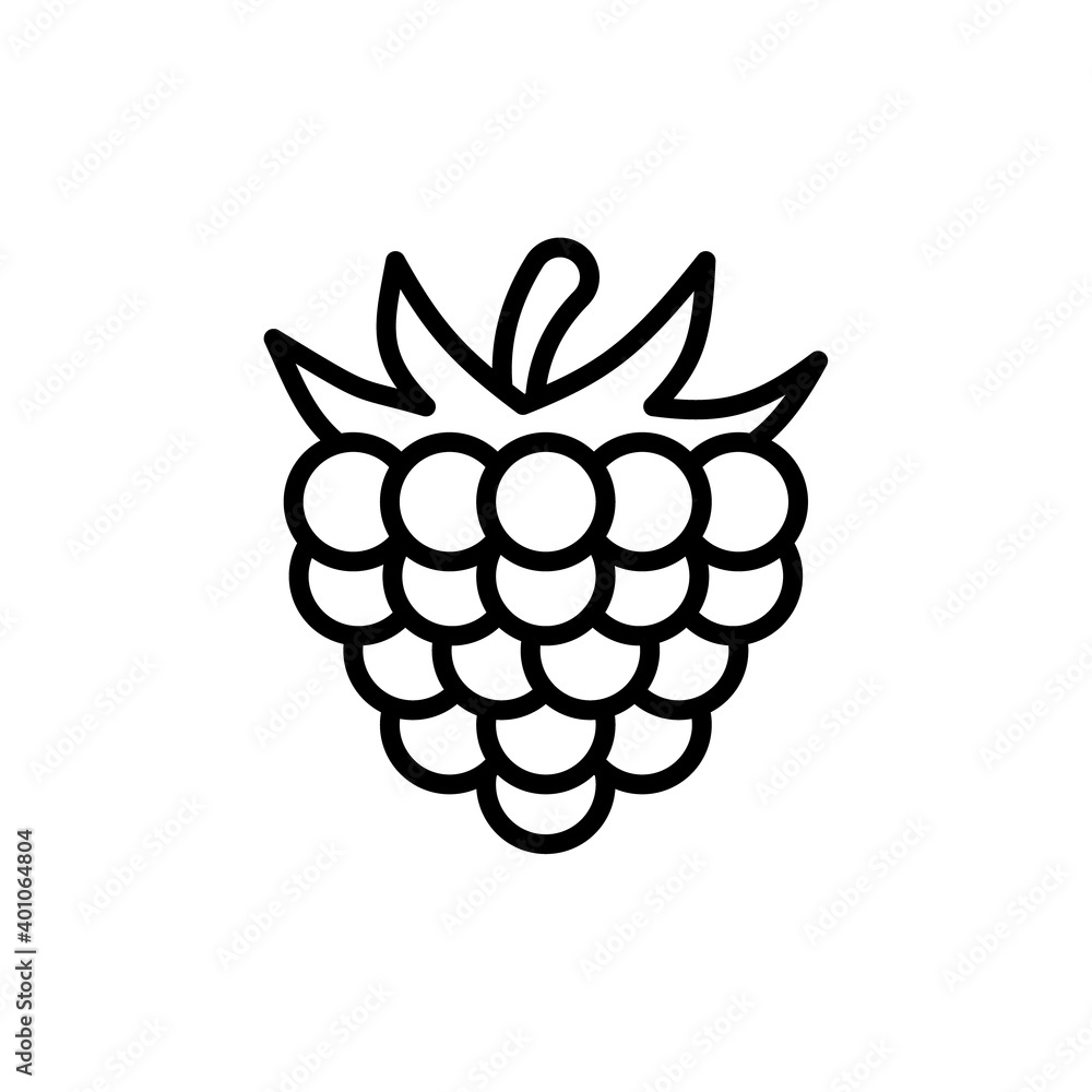 Poster outline, simple vector raspberry icon isolated on white background.