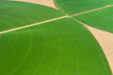 aerial view to the circle shape of green fields