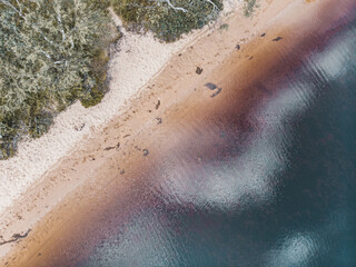 Fototapeta na wymiar Aerial Beach - drone shot