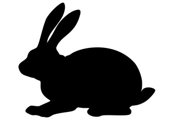 Wild forest hare. Vector image.