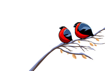 bullfinches two red round thick on a branch snow