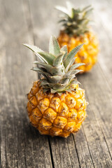 Ripe baby pineapple. Mini pineapple.