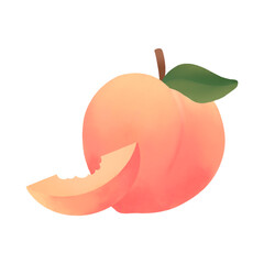 
Peach Juicy fruit with a slice of nectarine hand painting illustration