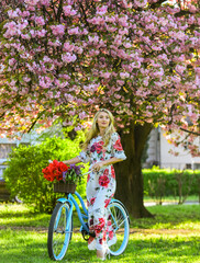 Spring holidays. Woman with tulips bouquet. Sakura tree blooming. Sakura season. Romantic bike...