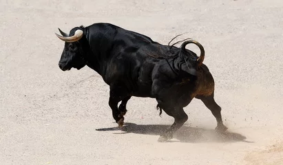 Rolgordijnen toro español con grandes cuernos en una plaza de toros © alberto