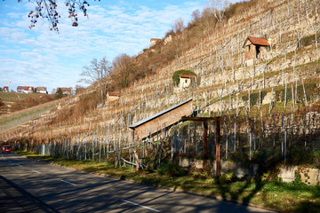 Fototapeta na wymiar A street road at a vineyard mountain hill in Stuttgart germany during autumn
