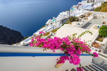 Summer flowers and beautiful Cycladic architecture in Santorini. Cyclades Islands, Greece