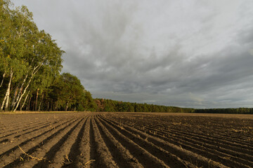 Ackerlandschaft im Spätsommer Brandenburg