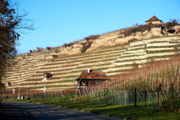 A stuttgart german vineyard autumn sunny sunshine river neckar street hill mountain