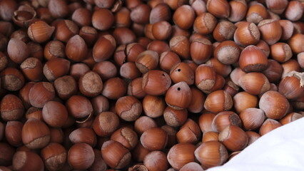 Photos of nuts with hole in shell by worm, wormy nutshells 