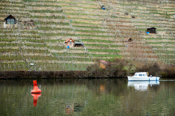 A white small boat is driving on the neckar in front of the vineyard hill with a house and is...