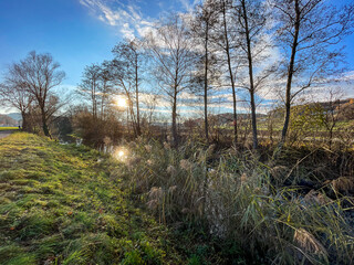 Neftenbach, Bach, Sonne, Bäume, Dezember