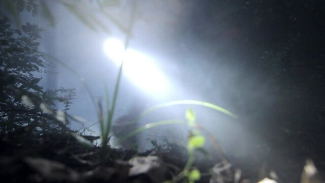 Low angle view of frantic friends running down foggy hill in woods at night