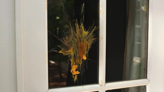 Close up of ketchup and mustard from hamburger thrown at window
