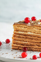 A piece of delicious honey cake decorated with cranberries. Sweet food.