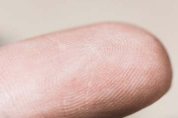 Macro view of a finger print