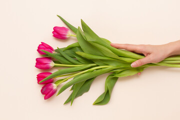 girl holding fresh tender red tulips with green leaves with her hands on a pastel beige background. Concept for Valentine's Day and Spring Holidays. Floral minimalism in bright colors