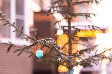 Decorated Christmas trees in the city. New year's mood from the neighbors.
