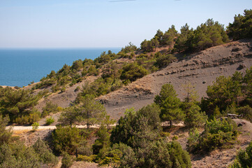 Fototapeta na wymiar Mountains with pine trees over the sea near Sudak