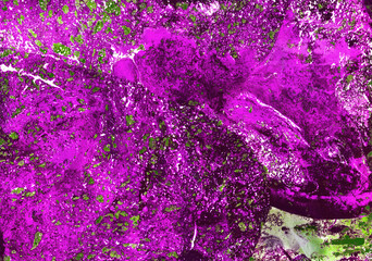 Fluid Art Painting. Liquid art abstract work. Pink, Violet, Purple, black colors. Marble effect. Colorful abstraction. Neon Background. Modern Art. Spring, flowers, bloom, beauty