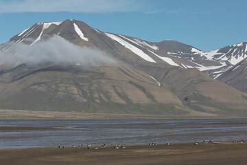 Beautiful nature and landscape near Longyearbyen, Spitsbergen  in Norway