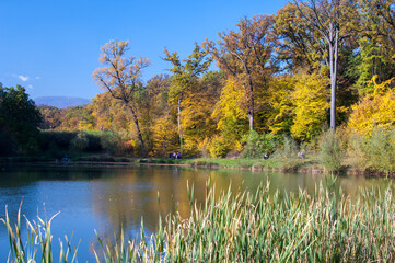 Fototapeta premium Park in the autumn